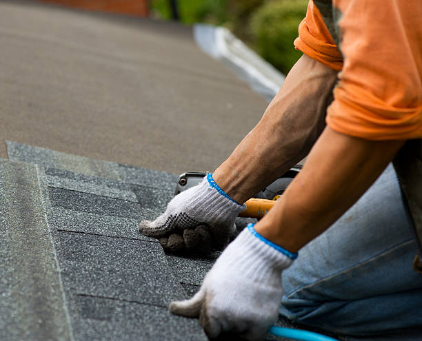 Best Roof Gutter Cleaning  in Osprey, FL
